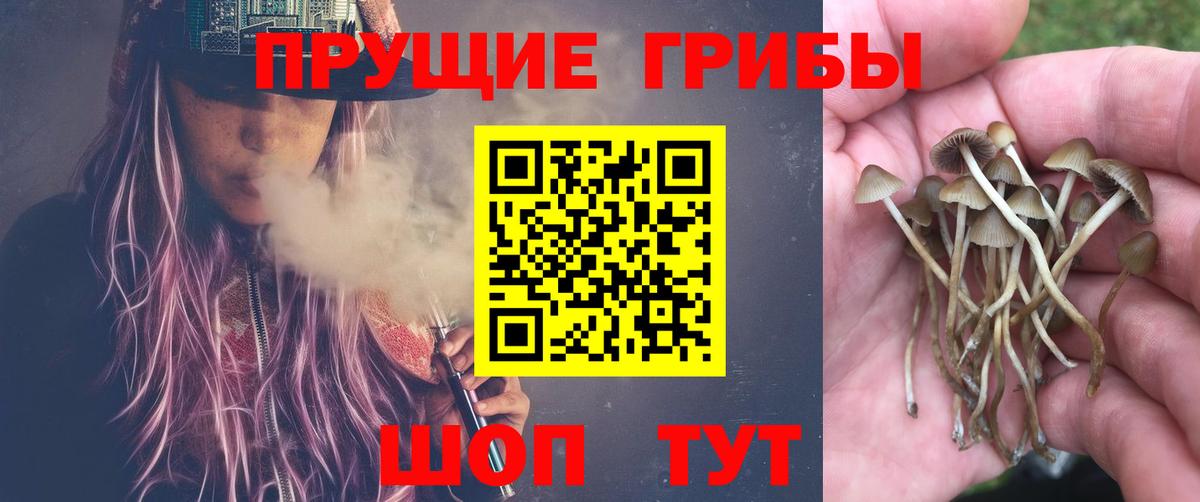 Псилоцибиновые грибы мухоморы  Вход с VPN  Ачинск  Псилоцибиновые грибы Magic Shrooms 
