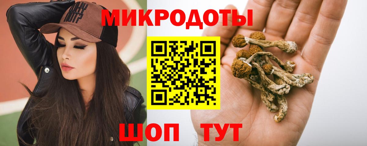 Псилоцибиновые грибы Psilocybe Ачинск