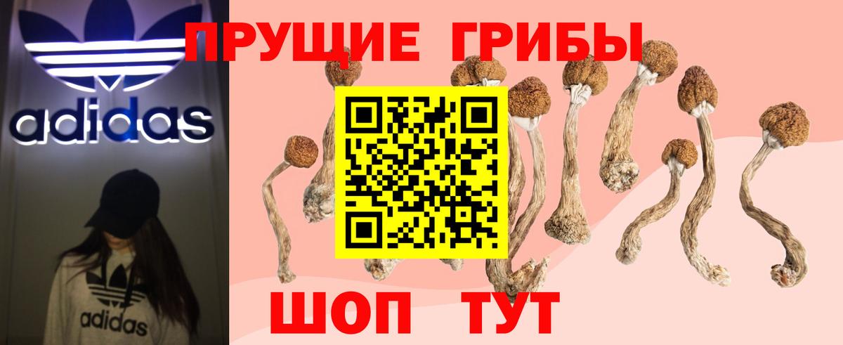 Галлюциногенные грибы MAGIC MUSHROOMS Ачинск